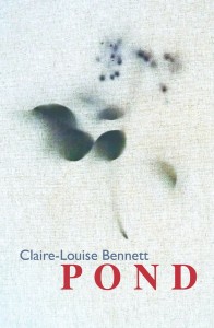 Winter Flowers by Angélique Villeneuve book cover